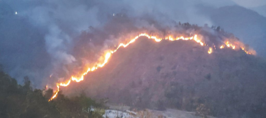 Forest fires are raging in Taplejung district