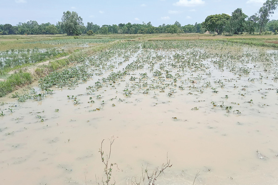 Heavy rains drench several Tarai districts, weather expected to gradually clear from today