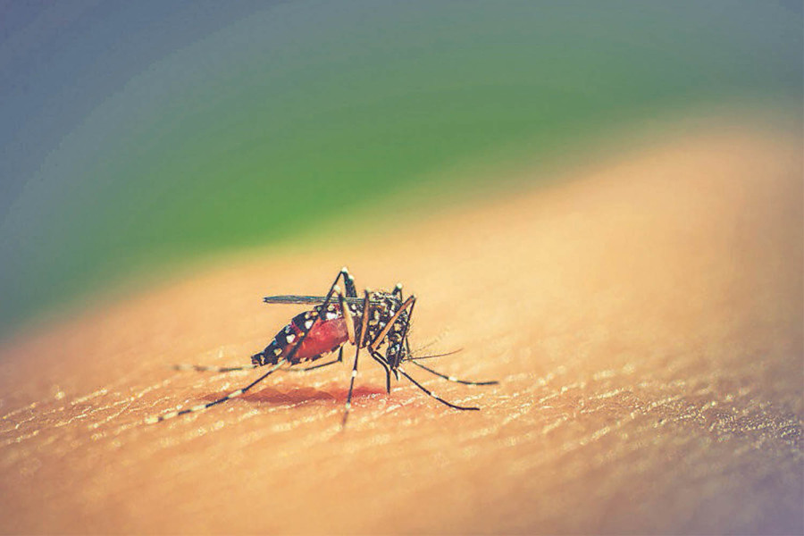 JE death toll rises to 23, development partners not driven to provide vaccine