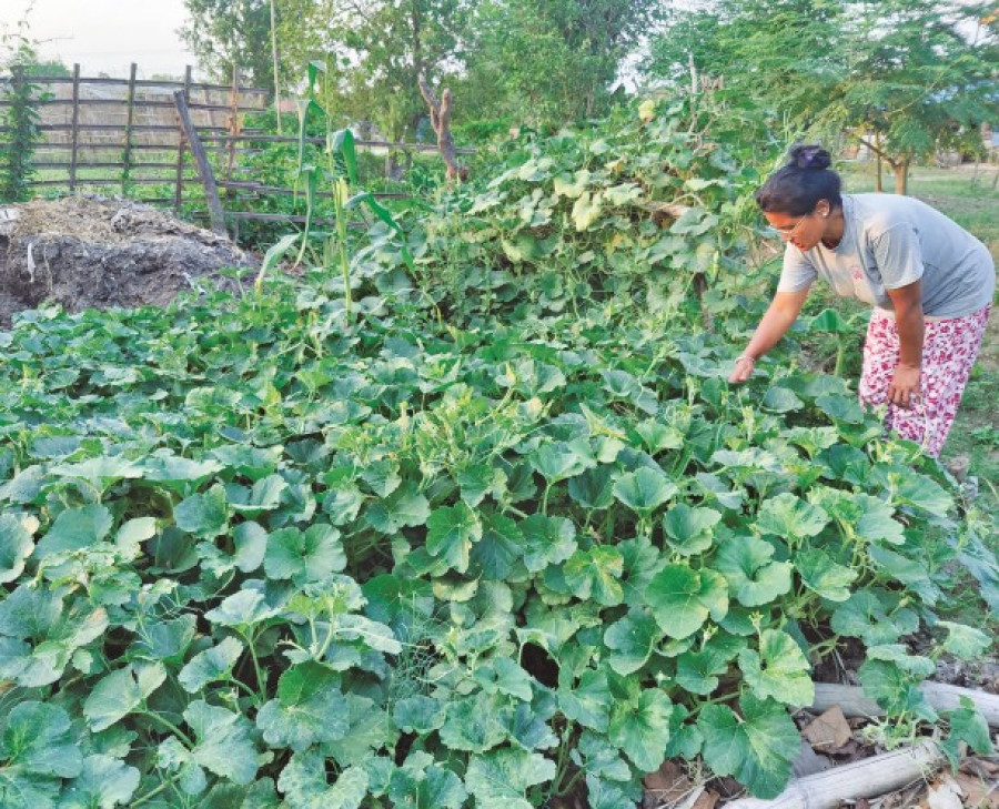 For women in foreign employment, the way to empowerment back home is not easy