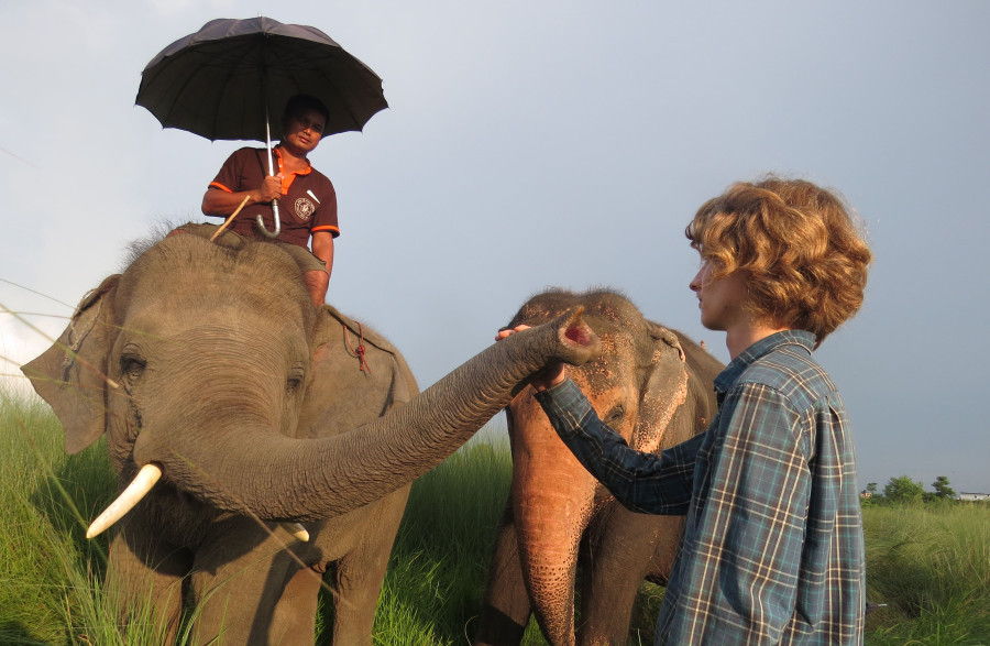 Towards ethical elephant tourism