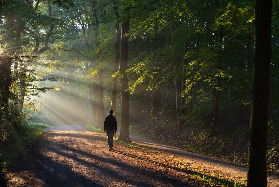 When the forest calls, you answer