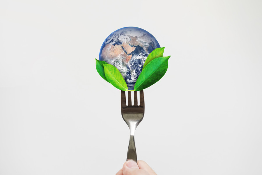 Depleting nutrition in our food