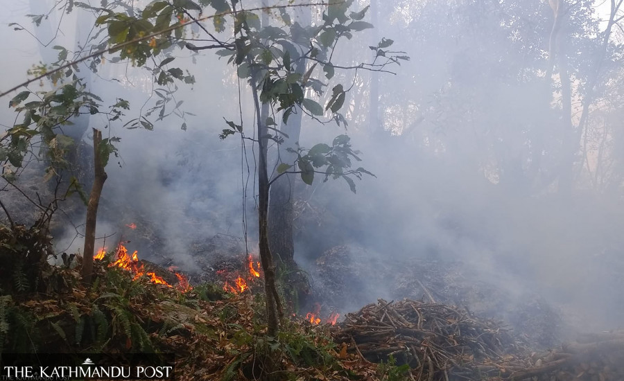 Mother, son killed in Okhaldhunga bushfire