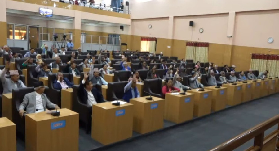 Koshi Assembly passes resolution asking chief minister to seek trust vote