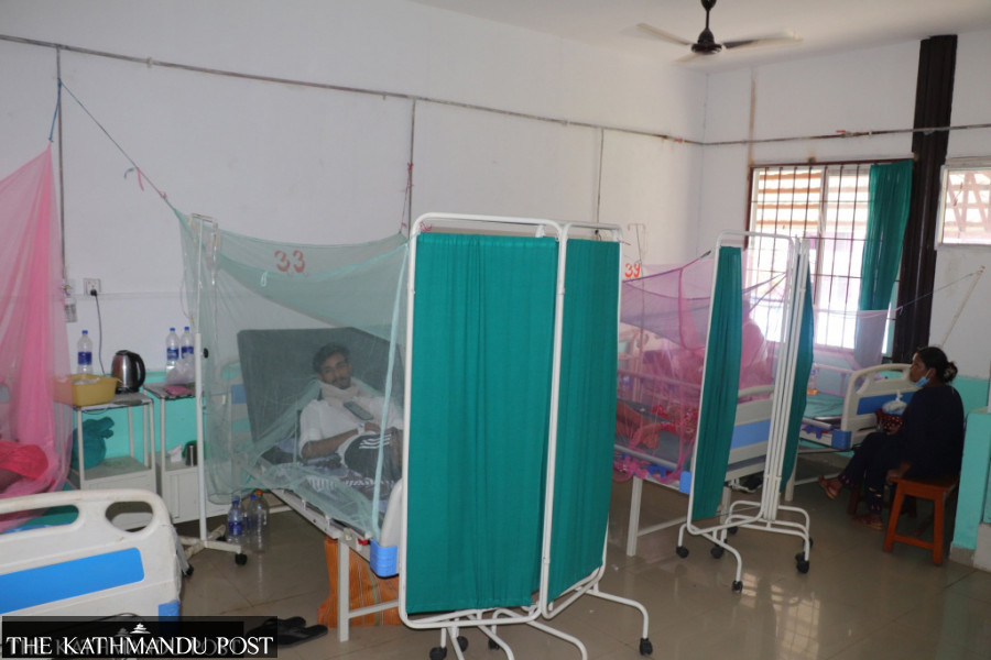 Dengue crisis deepens as authorities fail to prioritise mosquito control