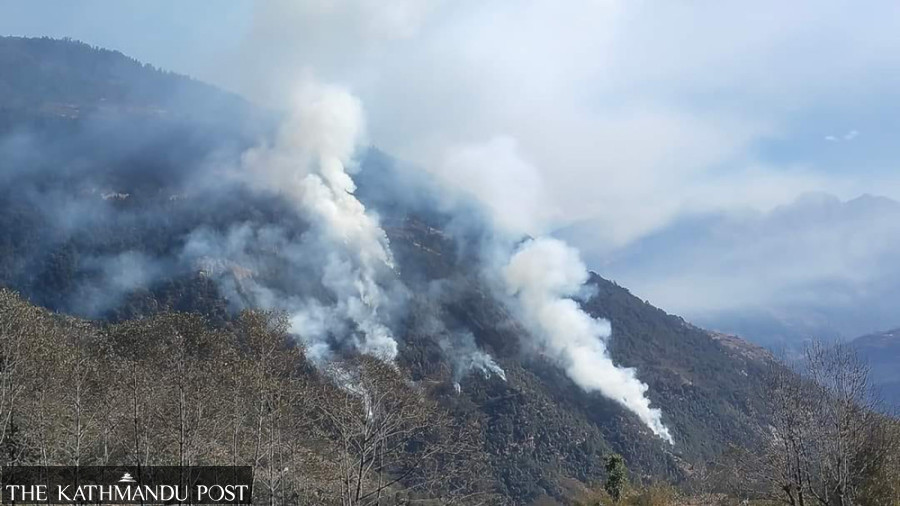 Fires continue to devour forests across various districts
