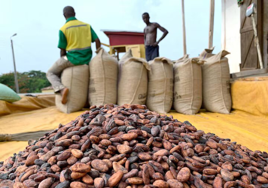 For Ghana’s cocoa farmers, fertiliser is the vote winner in looming election