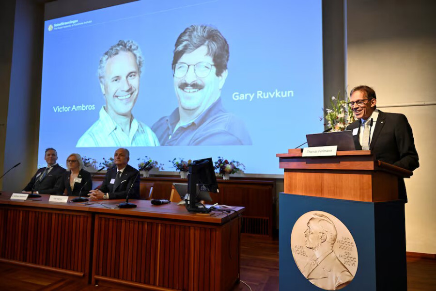 Nobel prize for medicine: US duo Ambros and Ruvkun win for work on microRNA