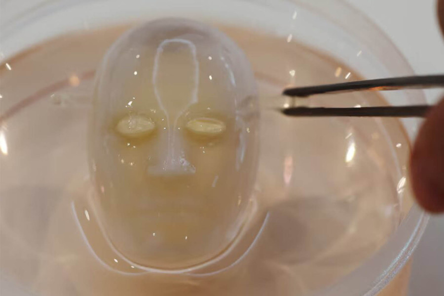 Say cheese: Japanese scientists make robot face ‘smile’ with living skin
