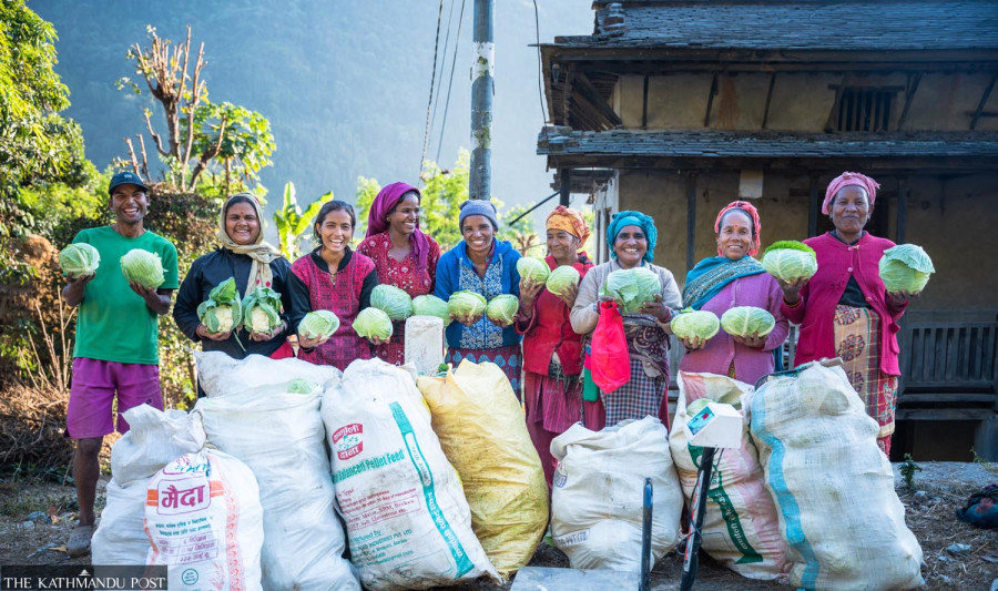 Kalegaun: A thriving hub for vegetable farming
