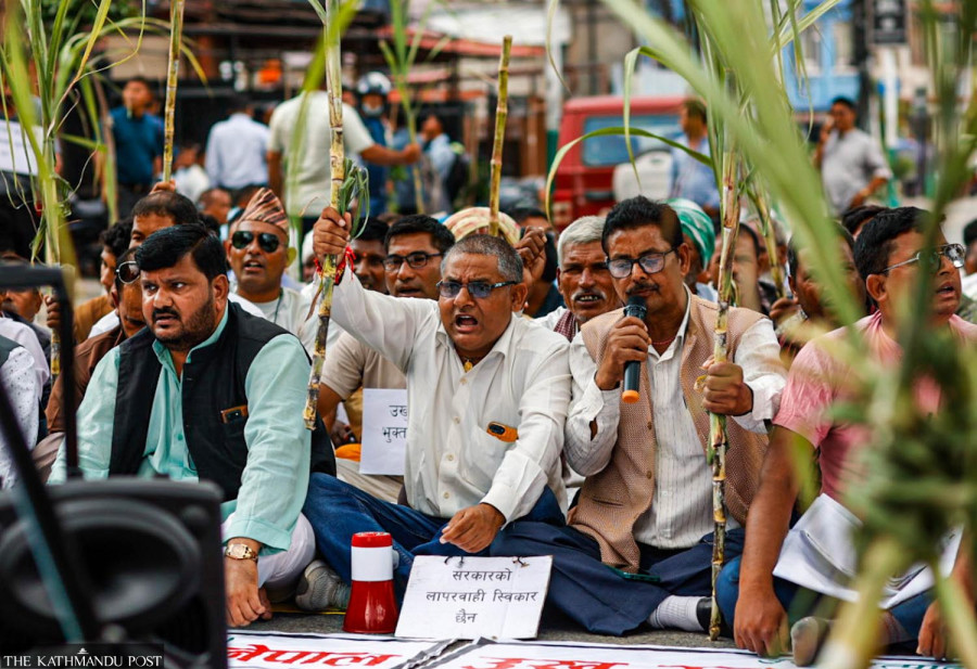 Sugarcane farmers protest in Kathmandu as government halves subsidy