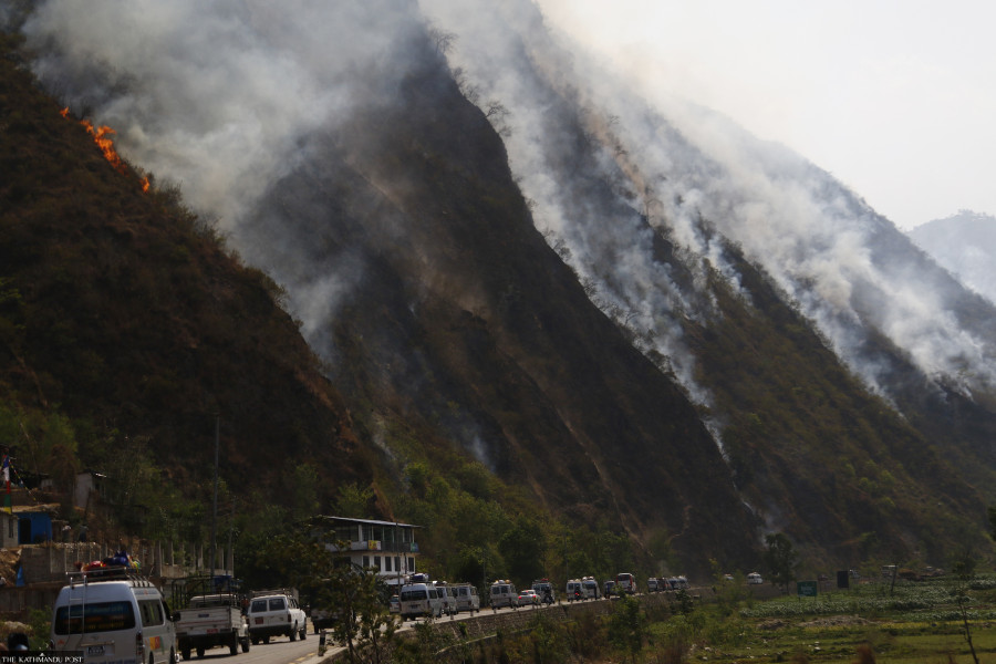 Wildfires put 500m tonnes of carbon— and tourism—at risk