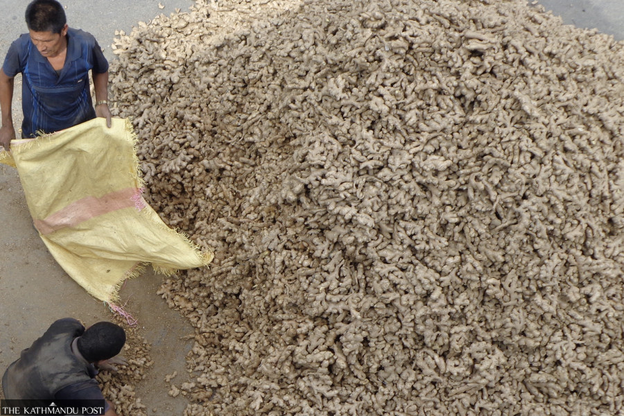 Nepal’s high-value exports see modest growth amid surge in edible oil shipments