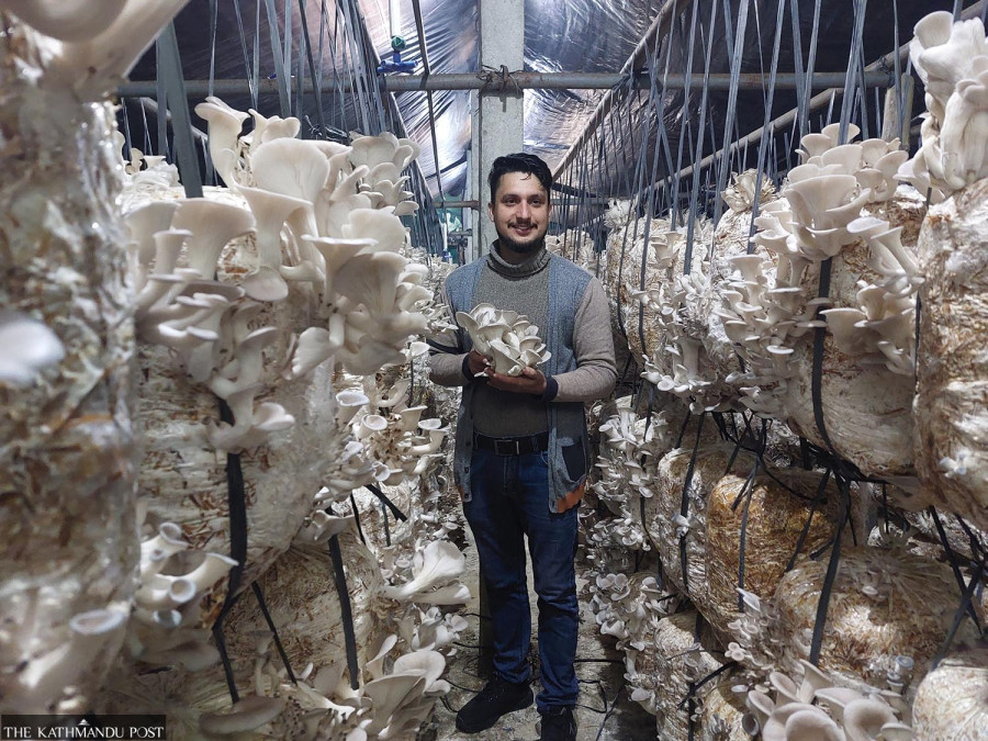 Mushroom farming: From cultural taboo to a thriving enterprise