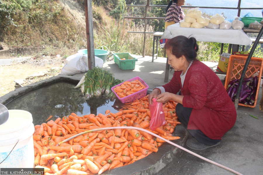 Jurikhet transforms into ‘carrot village’
