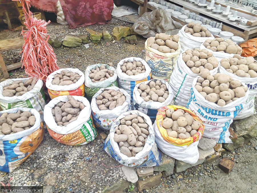 Shailung’s potatoes power rural economy, but name lost in transit