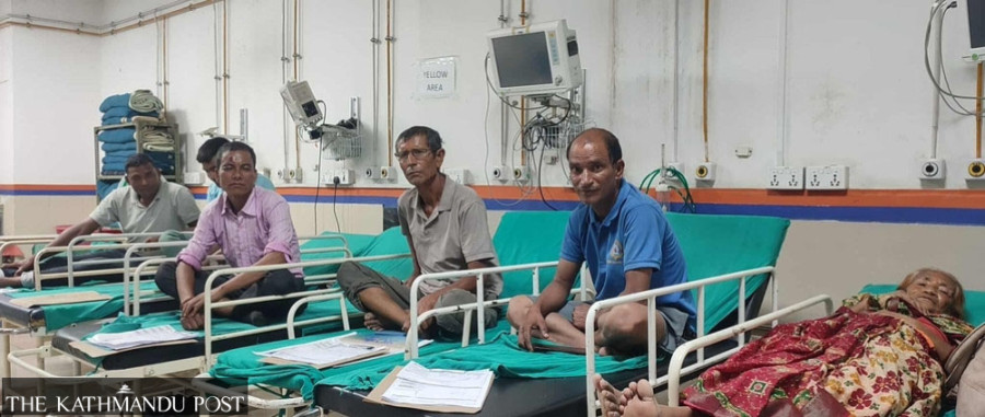 Seven killed, 24 injured in Chitwan road crash