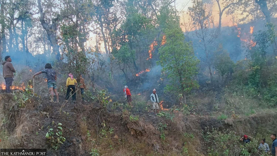 One person dead as wildfires continue to rage in Palpa