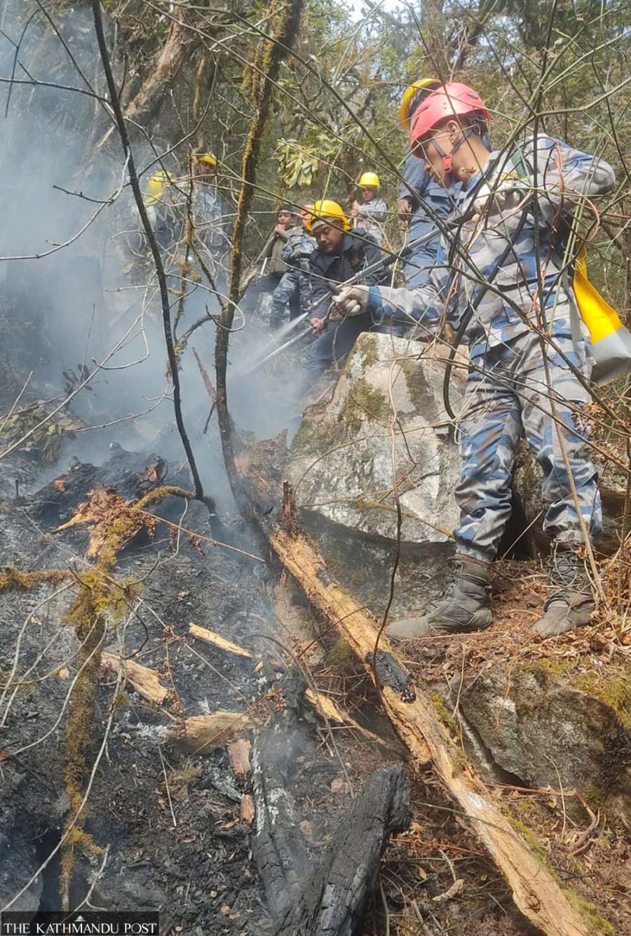 Wildfire ravages Manang’s Timang forest due to lack of snowfall