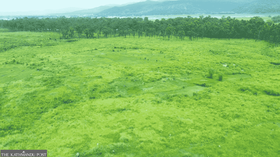 Forest cleared, airport abandoned