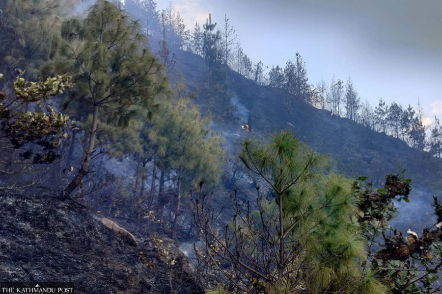 Fire in Kavre community forests remains uncontrolled