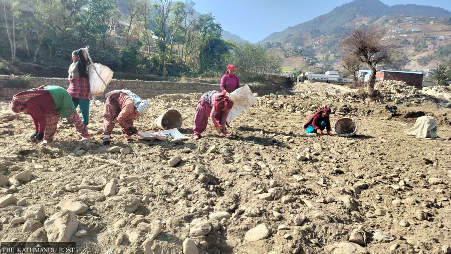 Agricultural recovery begins in Bethanchowk after floods