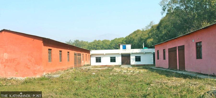 Herbs rot and traders reap profit as processing facilities remain unused and fall into disrepair