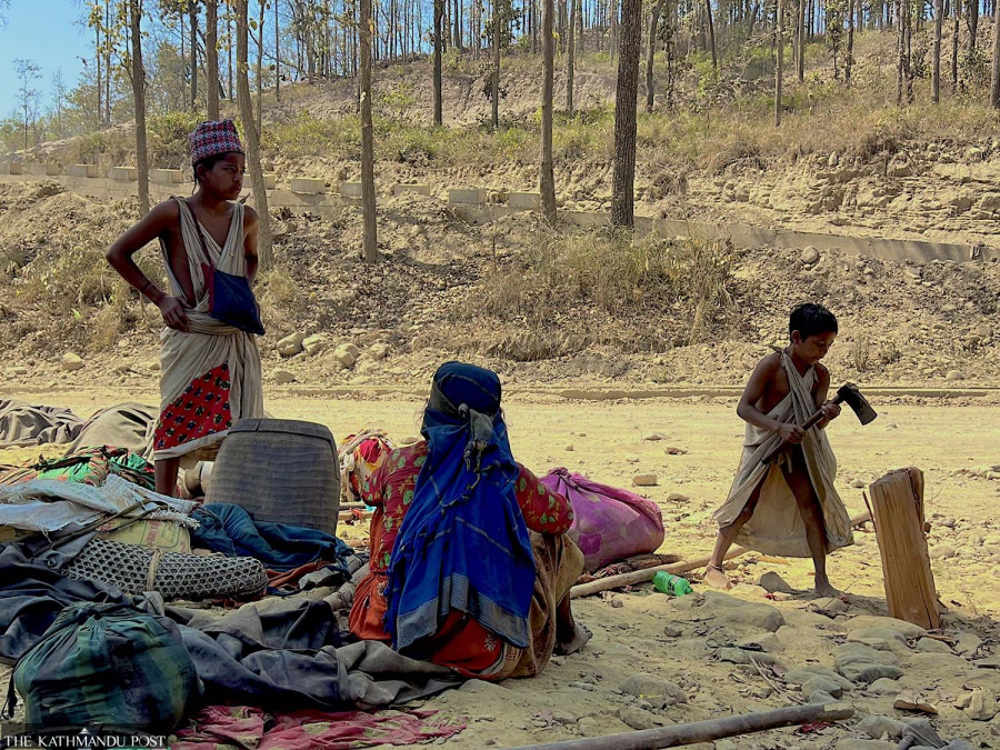 Raute population continues to decline