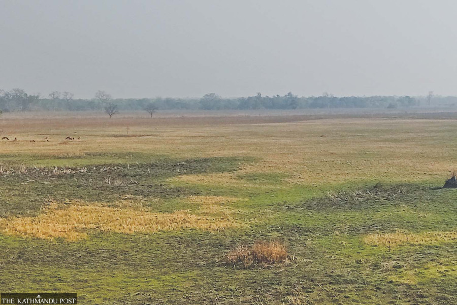 Poor access keeps visitors from Shuklaphanta National Park