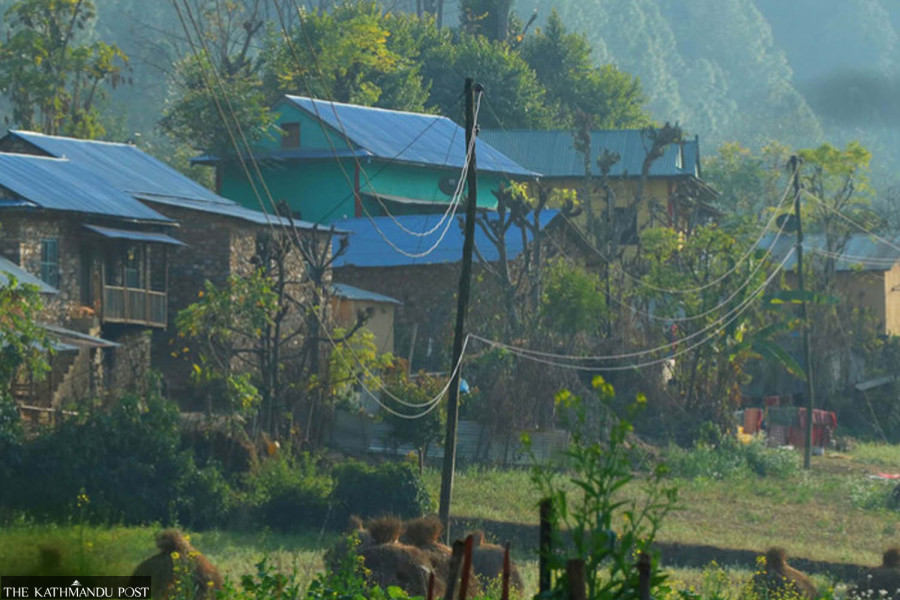 Rotting wooden electricity poles threaten lives, property