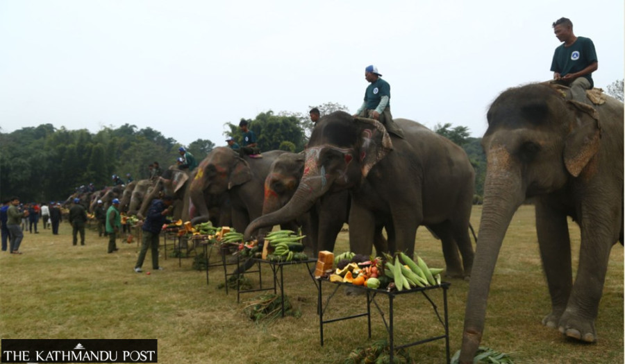 PETA raises concerns over public safety risks at Chitwan Elephant Festival