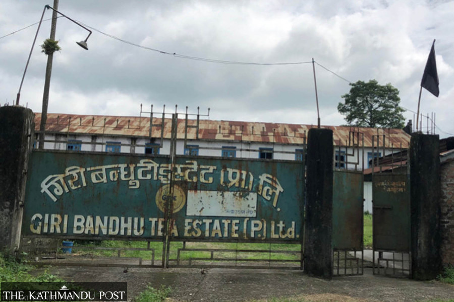 Supreme Court receives contempt petition in Giribandhu tea estate case