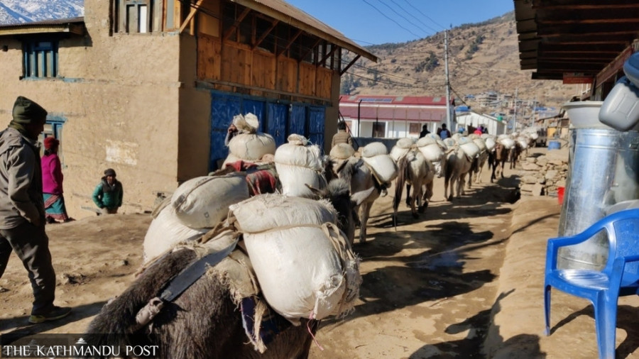 Upper Dolpa faces rice shortage ahead of Dashain