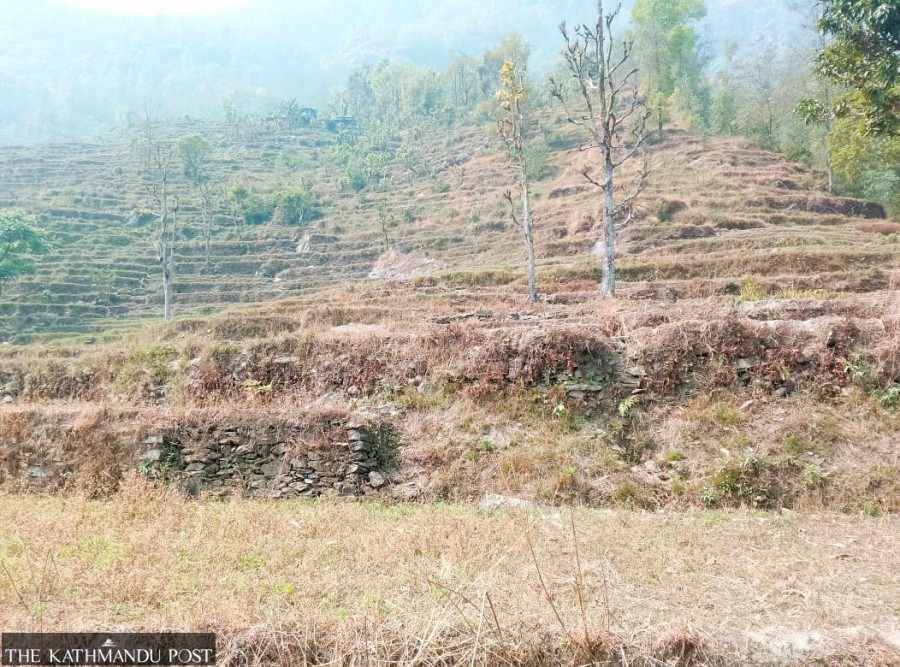 Drought-stricken farmers in Sindhupalchok villages are leaving farmlands fallow