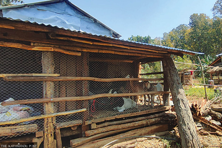 Local units demand role in park buffer zone management