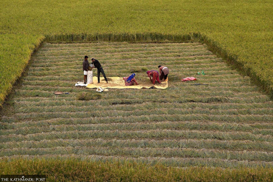 Nepal set for intense monsoon. Boost for crops, peril for people