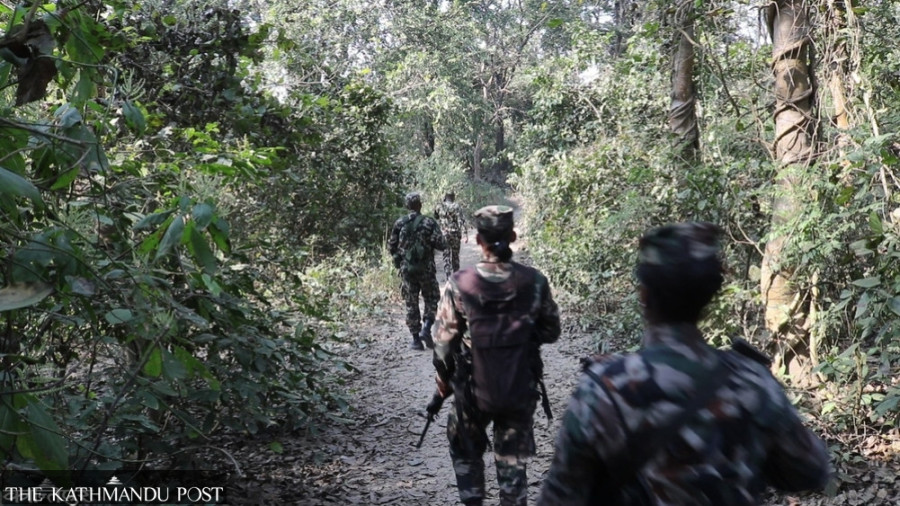 Bardiya National Park intensifies patrols to curb poaching during festivals