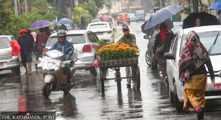 Rain disrupts daily life, brings cold, and damages harvest-ready paddy