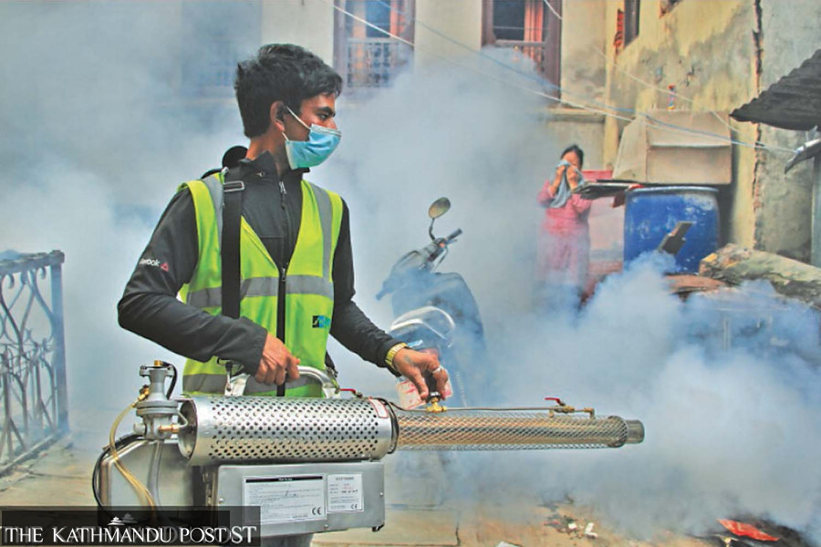 Singha Durbar premises teeming with dengue mosquito larvae