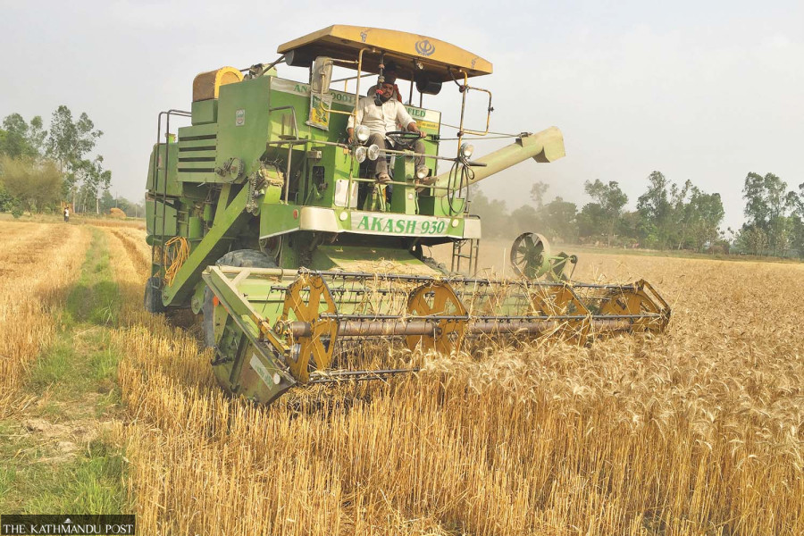 India’s wheat export quota to Nepal draws flak