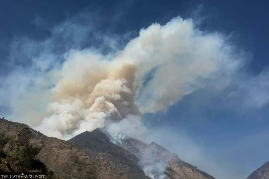 Wildfire destroys 82 hectares of forest in Sindhupalchok