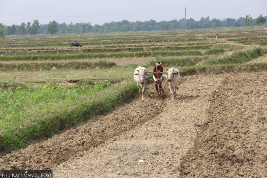 How Nepal’s hydro betrayed its farmers