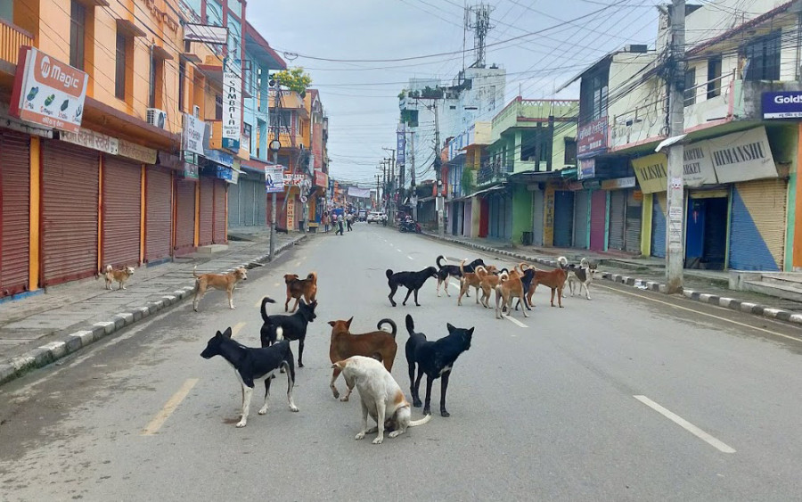 A nation of gods deserves a law to match