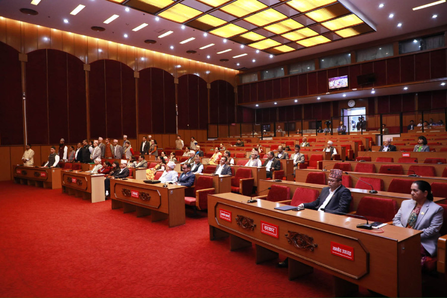 The upper house debate