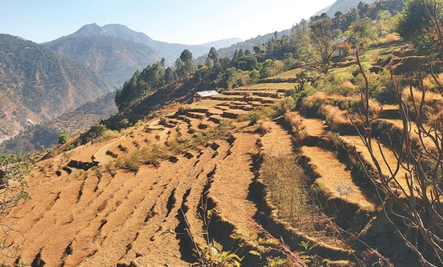 The missing fight to preserve soil