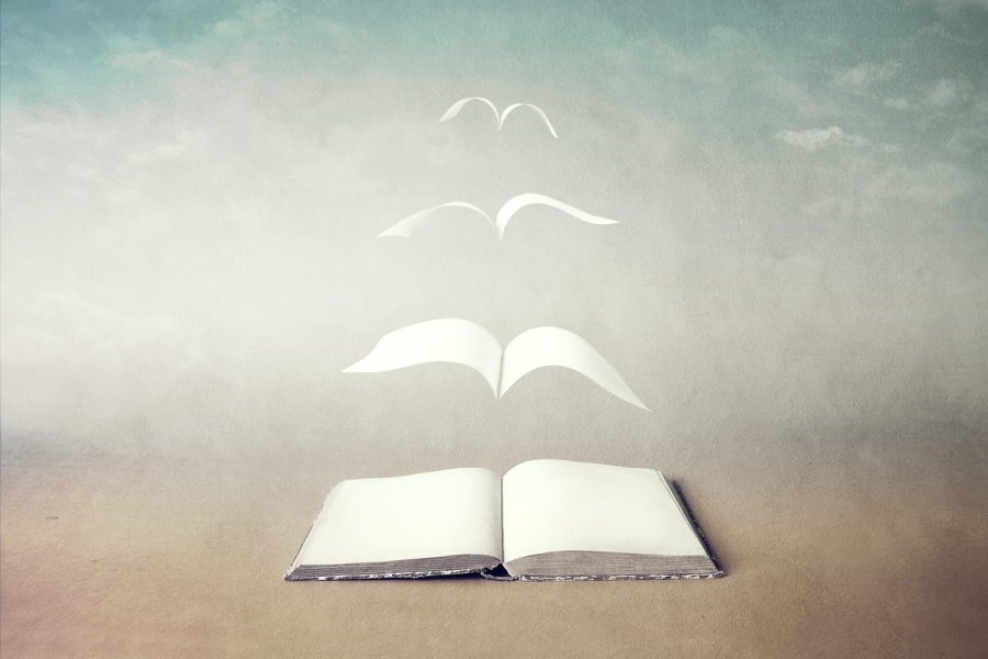 Ecology, literature and English