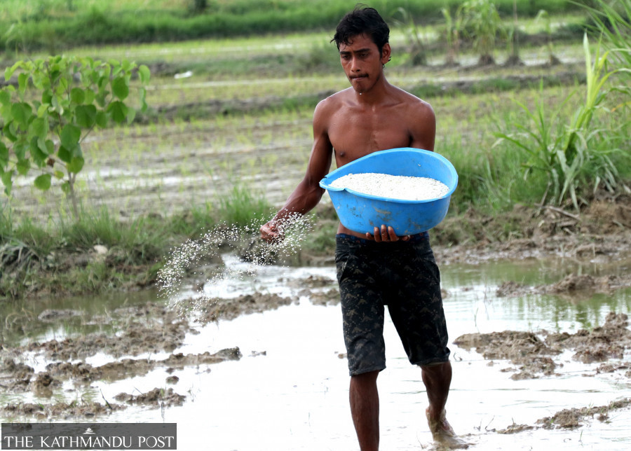 Short on fertilisers, again