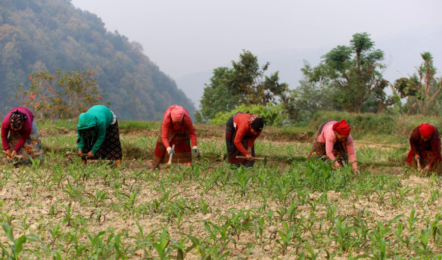 Nepal to grow 4.4 percent this fiscal: ADB