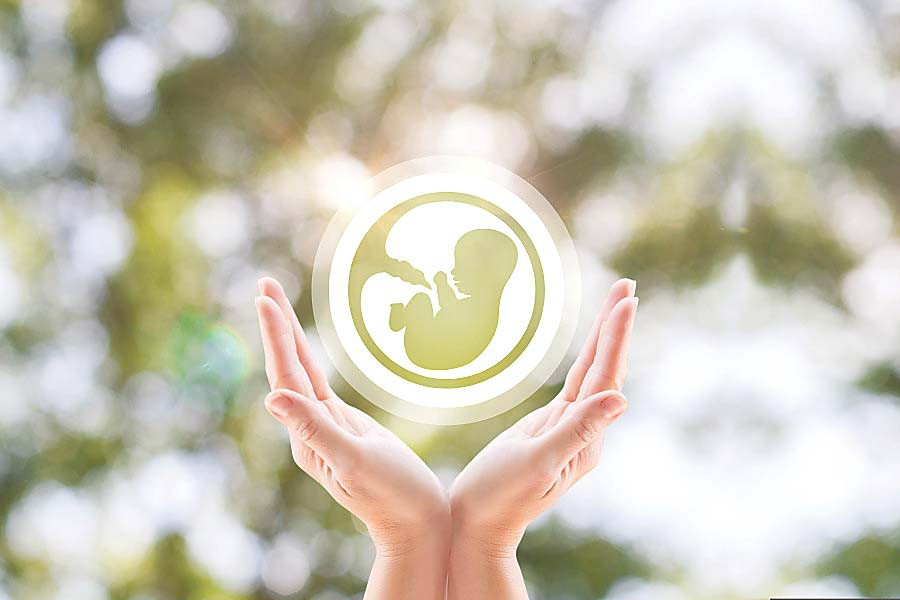 Experts call for legal framework on assistive reproductive technologies